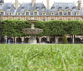 The Marais District